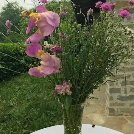 Amazing With Private Pool Langhe Holiday home *